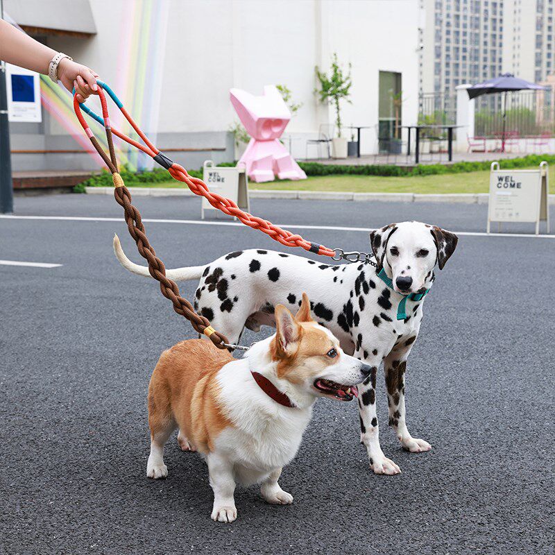 狗狗手工编织牵引绳中大型犬麻花绳绳子金毛柯基加粗不勒手溜狗绳