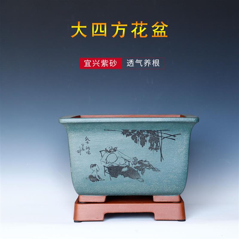 君子兰花盆陶瓷大号中国风简约室内客厅特大号发财树紫砂花盆景盆