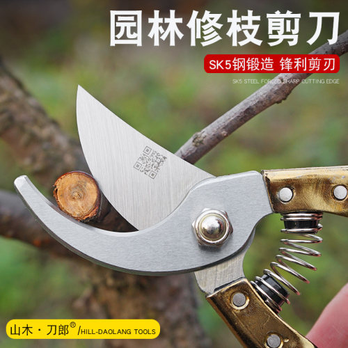 山木刀郎剪枝剪刀园艺剪树枝果树果枝花剪园林强力省力粗枝剪子