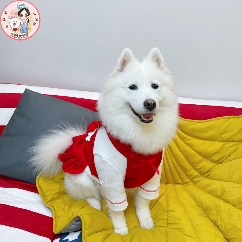 【小尾巴宠物】中大型犬大狗狗保暖两件套新年圣诞可爱娃娃裙衣服