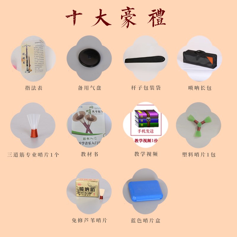 宏艺凤鸣唢呐红檀木全套唢呐吹奏乐器演奏专业喇叭初学者通用D调