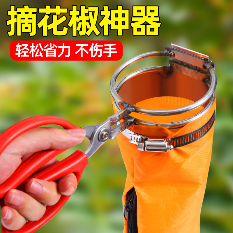 摘花椒神器园艺剪刀修枝剪果树疏果剪葡萄专用蔬果修花摘采水果剪 - 实物图