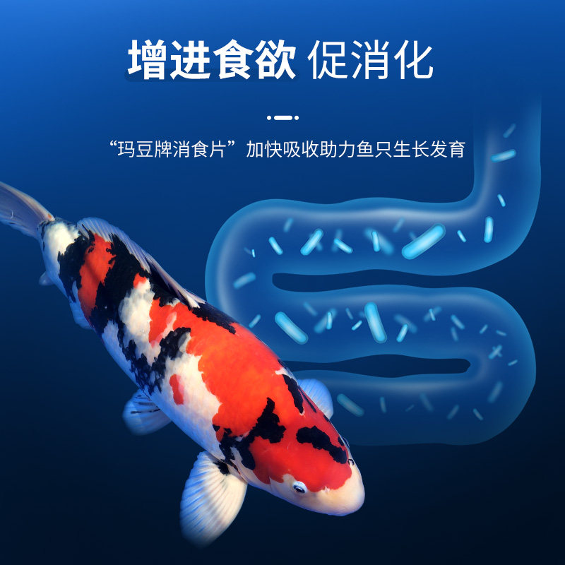 玛豆酸奶金鱼锦鲤饲料专用益生菌大颗粒厌食肠炎药鱼缸水族维生素