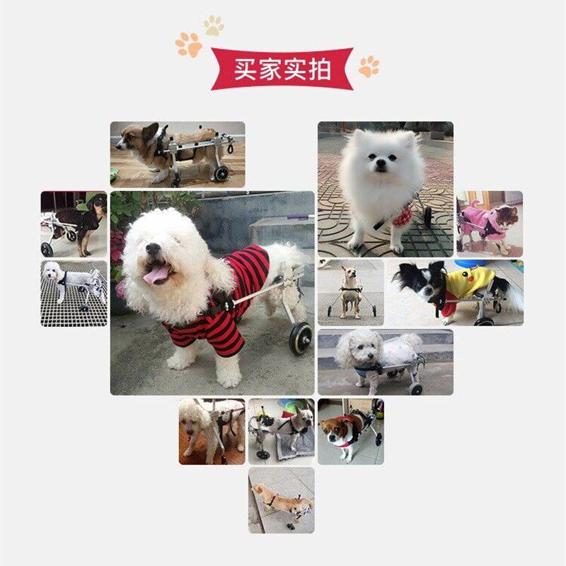 狗轮椅后肢代步车宠物残疾辅助支架泰迪犬后腿支撑器大型小型犬行