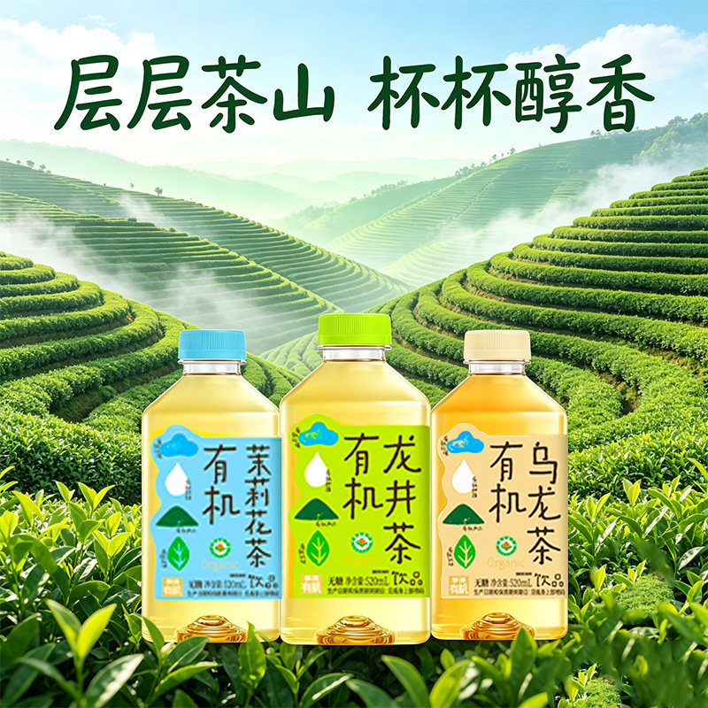 华洋无糖有机茶520ml 夏季解暑解腻0糖0脂茉莉花茶乌龙茶饮品12