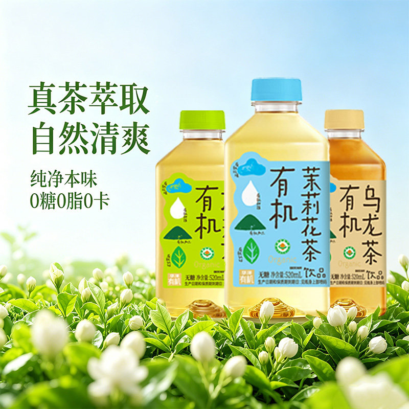 华洋无糖茶饮料520ml瓶整箱批发茉莉花茶乌龙茶龙井餐饮用茶9
