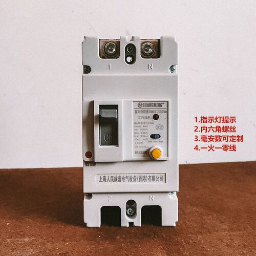 CM1LE单相漏电断路器63A 100A 125A 160A 250A塑壳漏保220V空开2P
