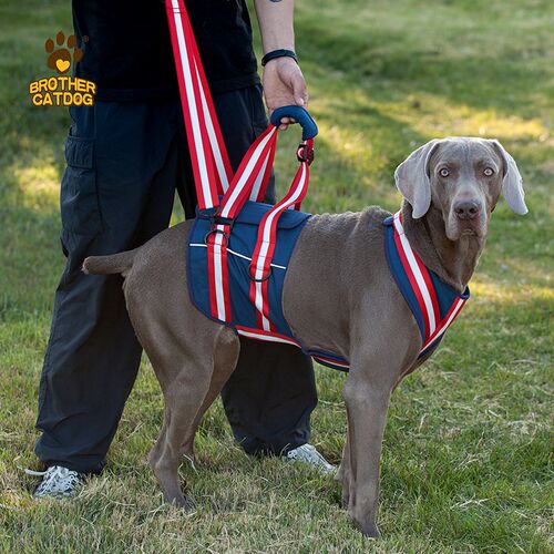 狗狗辅助带老年犬后腿无力助力带宠物残疾康复背带行走大型犬