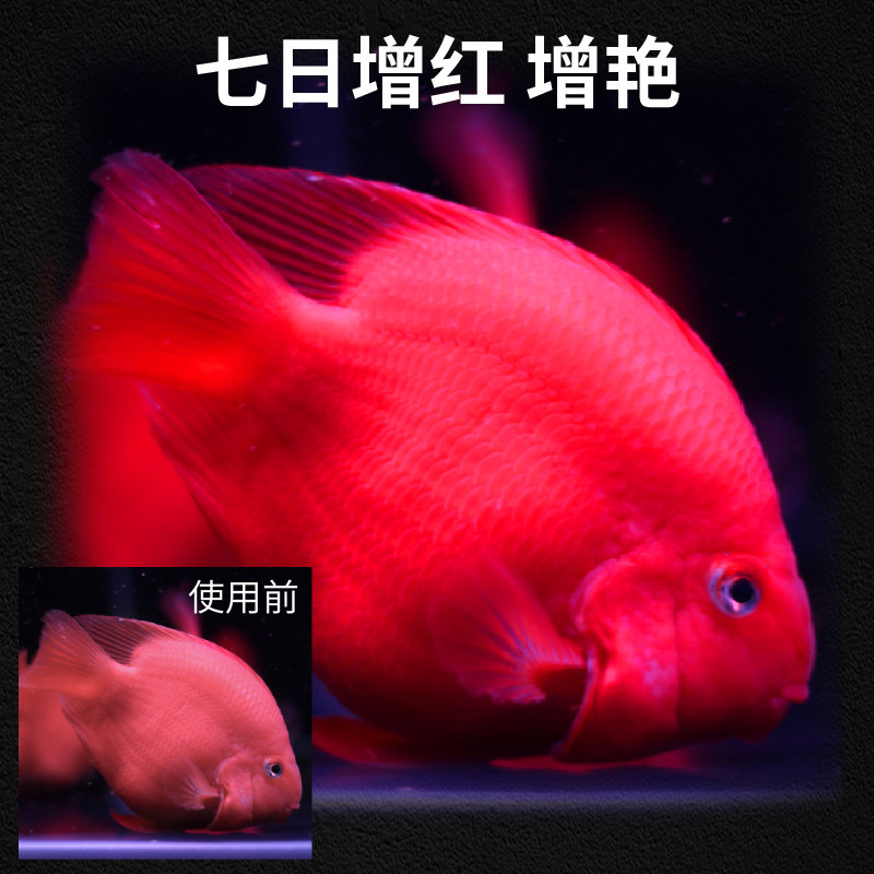 血鹦鹉专用鱼饲料热带鱼地图鱼罗汉鱼食增红增艳小颗粒招财鱼粮