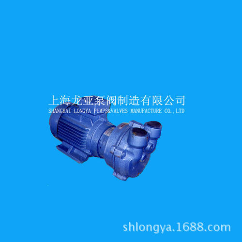出售2BVA5111-0KC水力真空泵 2BV系列真空泵 SKA直联式水环真空泵