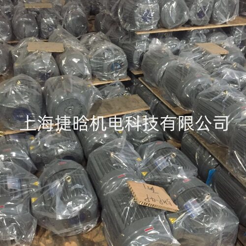 S.Y群策 C05-63BO 内插式油泵电机 PV2R 配套液压系统用电动机