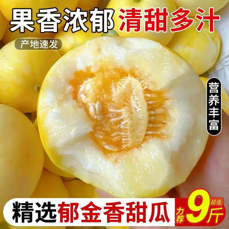 【下单立减50】正宗云南郁金香甜瓜香甜多汁香瓜新鲜水果