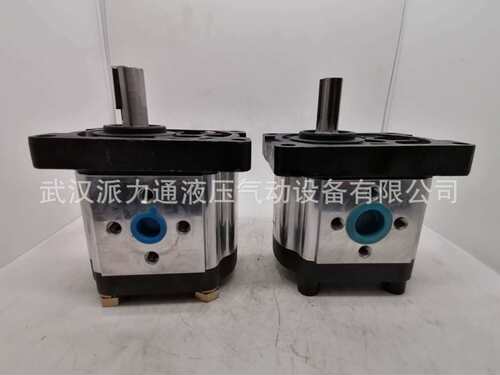上海SDH液压齿轮泵CBTt-F310F3P7CBTt-F304F3P7CBTt-F316F3P7325