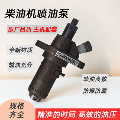 常柴单缸柴油机 高压油泵总成 R170 R175 190 S195 1105 1115 L28