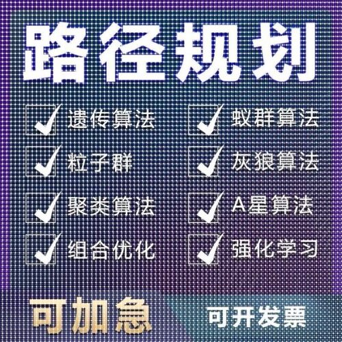 matlab路径规划遗传蚁群粒子群算法代做Python强化学习多目标优化