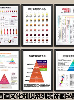 葡萄酒1855列级分级图名庄图红酒吧知识专业酒窖装饰画法国产区图