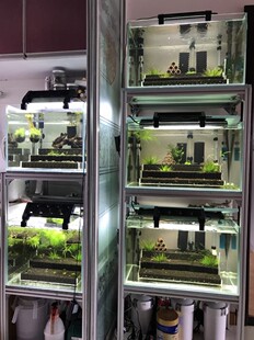 草缸梯田造景水晶虾鱼水草造景水草泥盒子观赏造景缸草缸虾缸造景