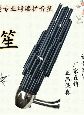 笙乐器21簧普及扩音笙大全专业演奏成人儿童初学入门大音量21苗笙