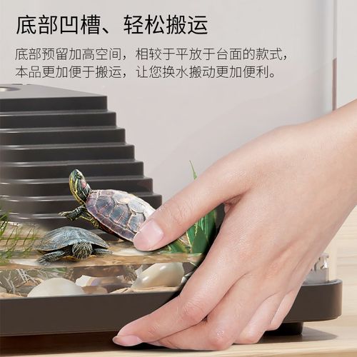 乌龟饲养缸家用小型爬台龟苗饲养盒发色盒养寄居蟹专用可视周转箱