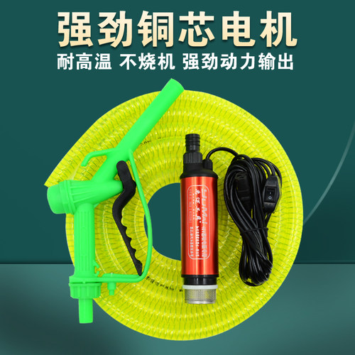48V抽油泵抽水泵电动车60V小型潜水泵72伏电动柴油泵抽酒泵品字头