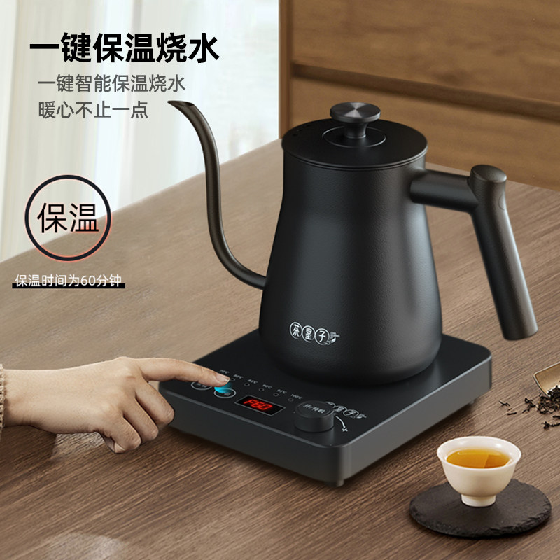 茶皇子电热烧水壶家用保温一体功夫茶泡茶专用长嘴咖啡手冲壶控温