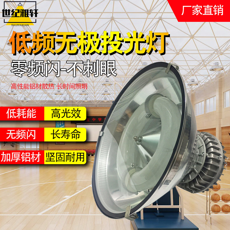 低频无极灯厂房仓库车间防爆防腐灯100w200W300W瓦羽毛球馆照明灯