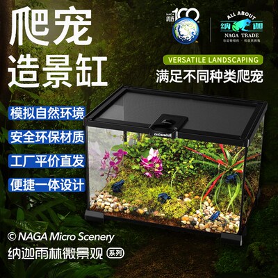 爬宠饲养箱守宫睫角蜥蜴蜘蛛角蛙蛇蝎水陆两栖生态造景雨林玻璃缸