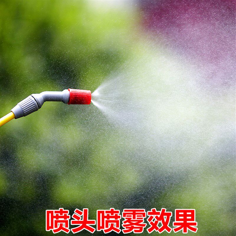 5L小型阳台花园艺喷壶浇花水洒水洗玻璃家用农用气压手动喷水喷雾