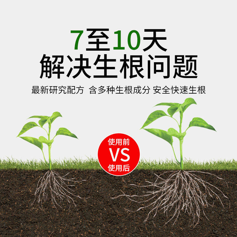 快速生根液粉剂移栽扦插花卉营养液植物通用强力多肉壮苗生根剂