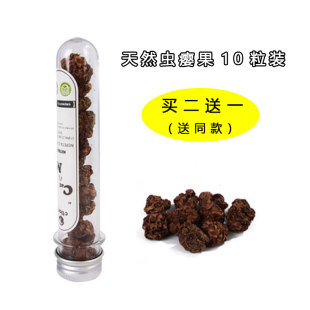 虫瘿果颗粒变异果猫薄荷粉新鲜磨牙玩具猫零食猫爱吃的木天蓼果实