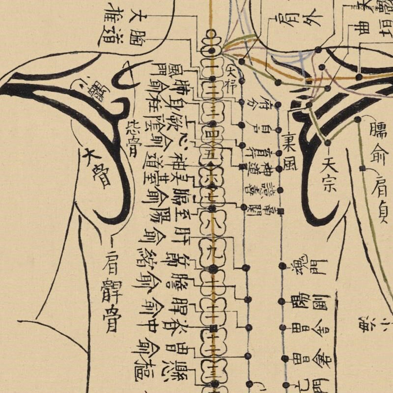 网红针灸铜装人穴位图人体经络全身经脉身体背古部饰画中医馆挂画