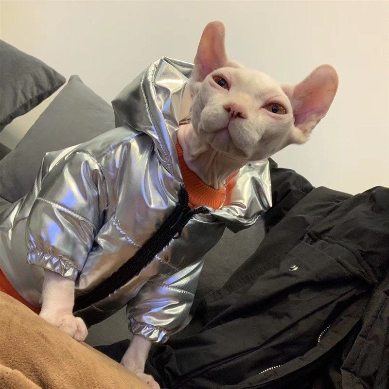 无毛猫秋冬衣服银色加厚棉衣保暖空调房斯芬克斯矮脚德文猫咪