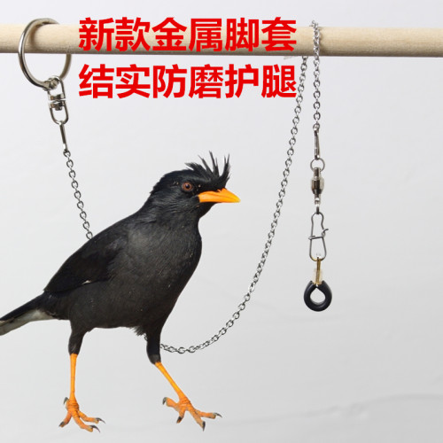 新款伯劳鸟脚套鹦鹉脚环鹩哥八哥鸟脚环鹦鹉脚环护腿不伤脚鸟链子