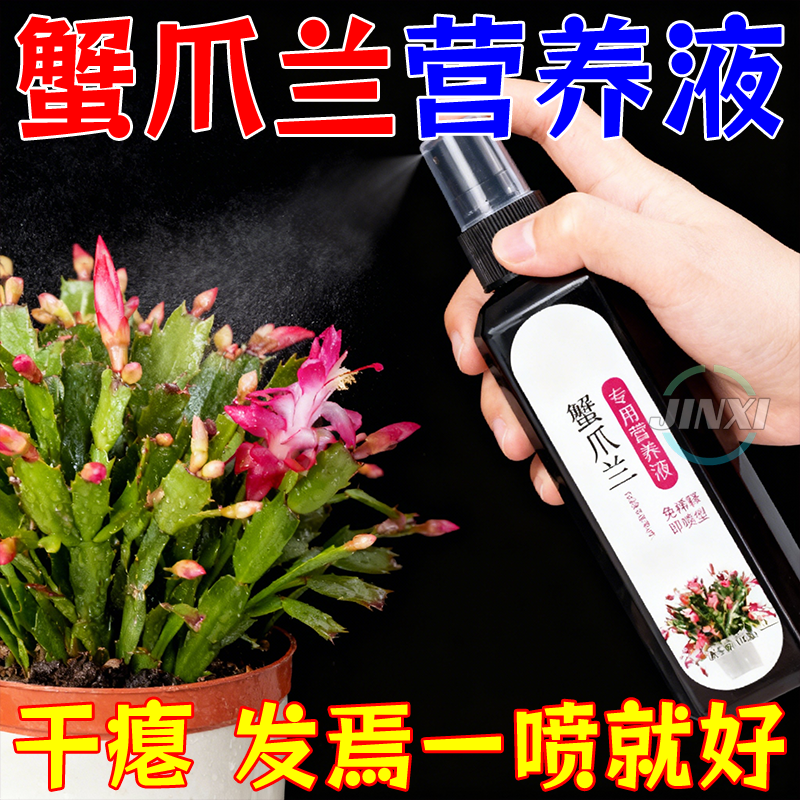 蟹爪兰花爆花专用营养液