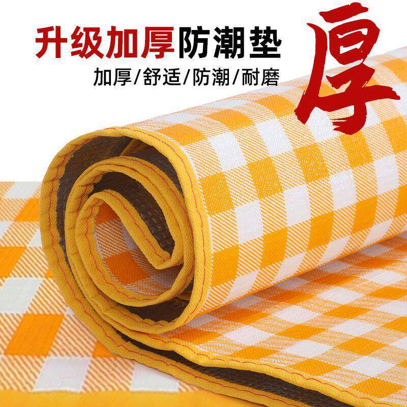 野餐垫户外防潮垫三层加厚露营野外双面防水草坪帐篷便携铝箔垫