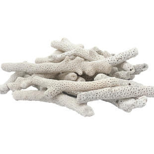 珊瑚骨滤材鱼缸过滤材料鱼池珊瑚石底砂水族箱造景沙稳定净化水质