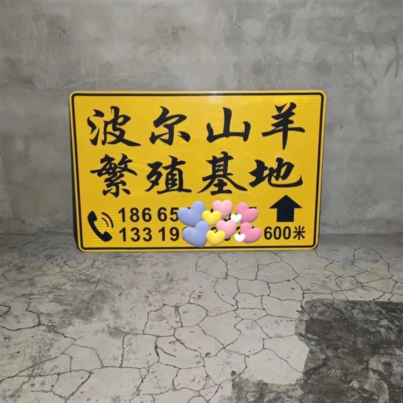 户外广告牌定做防水电线杆双面单面EGP标识牌夜光指路反光牌