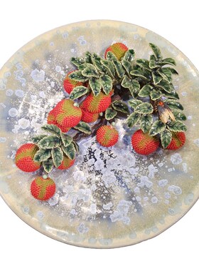 陶瓷新款博古架开业送礼家居电视酒柜门客厅饰品荔枝挂碟装饰摆饰