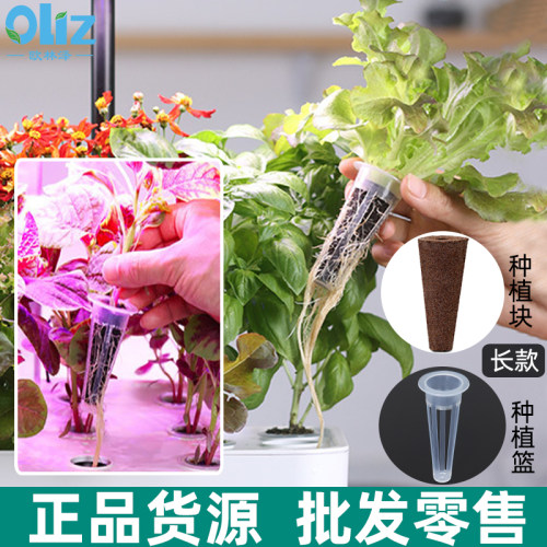 多肉植物播种盒扦插神器无土栽培育苗块熟料育苗盒水培穴盘保温箱
