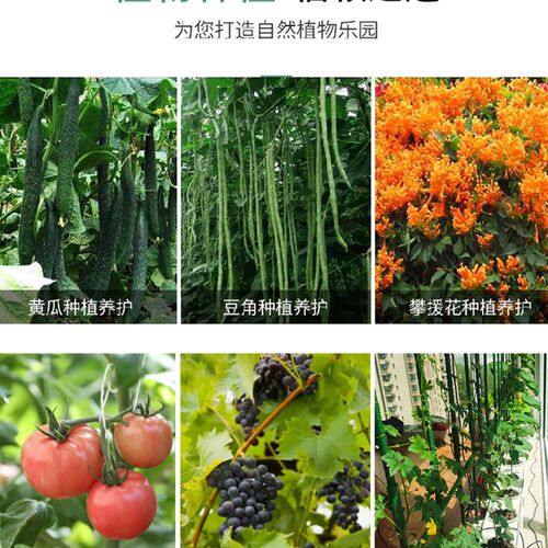 西红柿支撑架黄瓜爬藤架丝瓜番茄豆角瓜果西瓜苦瓜葫芦爬藤架室外