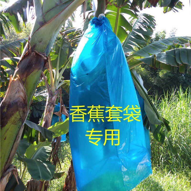 香蕉一体套袋防寒 香蕉套袋专用袋 香蕉袋香蕉套袋杆香蕉套袋神器