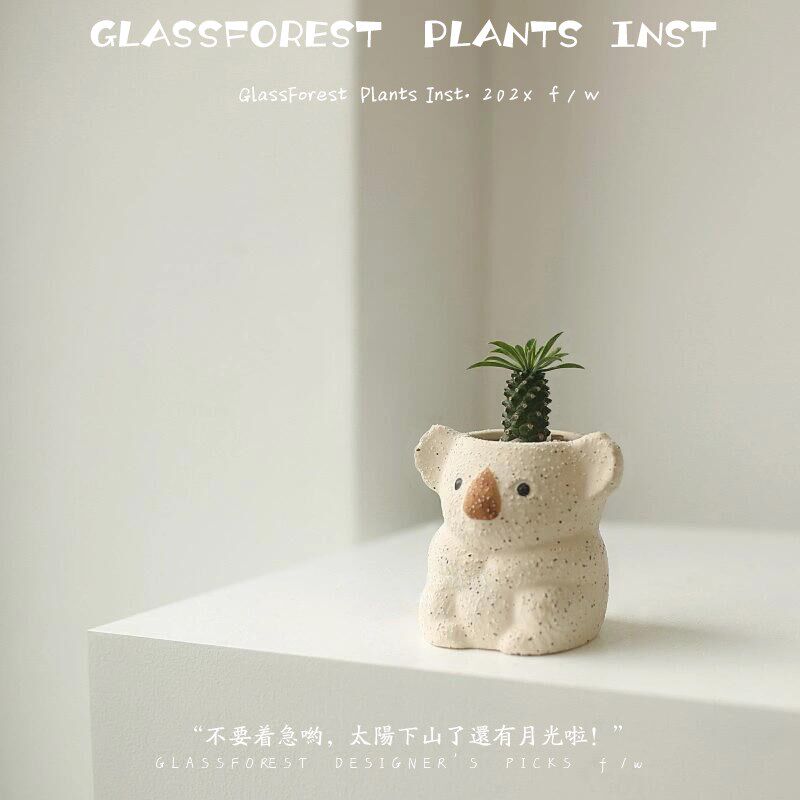 铁甲麒麟多肉植物考拉盆栽办公室桌面幼儿园好养活绿植可爱送礼物