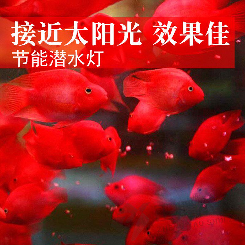 享庭 罗汉鱼缸led防水照明灯金鱼锦鲤鹦鹉鱼专用增艳潜水灯管水族