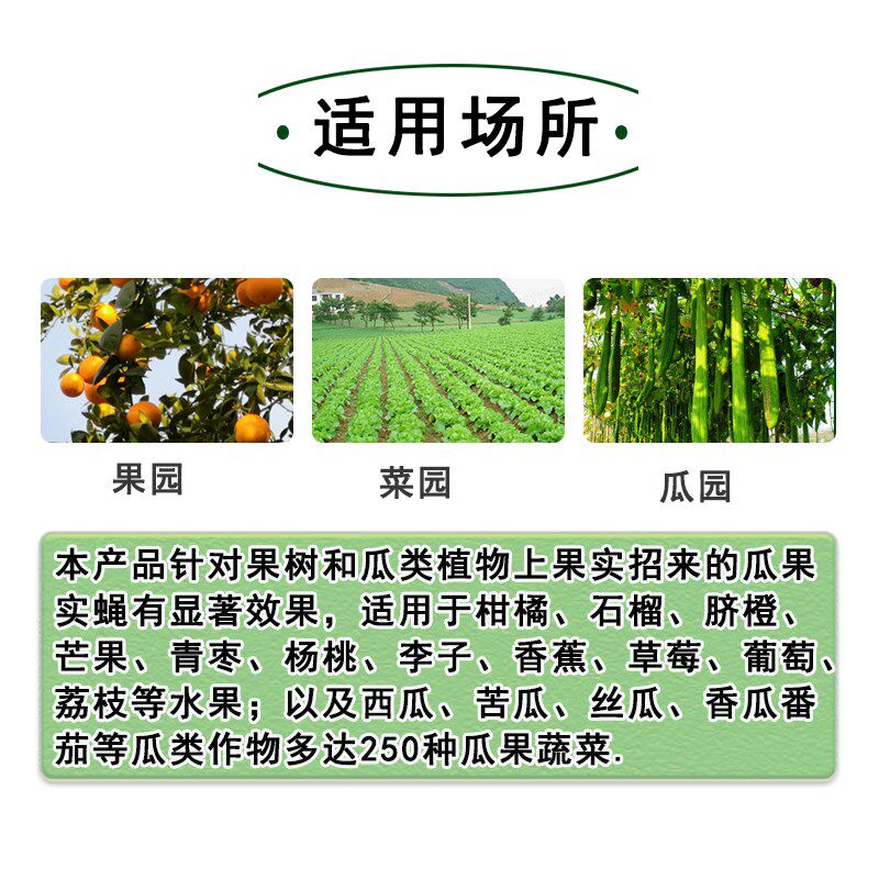 瓜果实蝇针蜂粘胶板防果蝇针蜂贴粘虫板柑橘大实蝇诱虫板诱捕器
