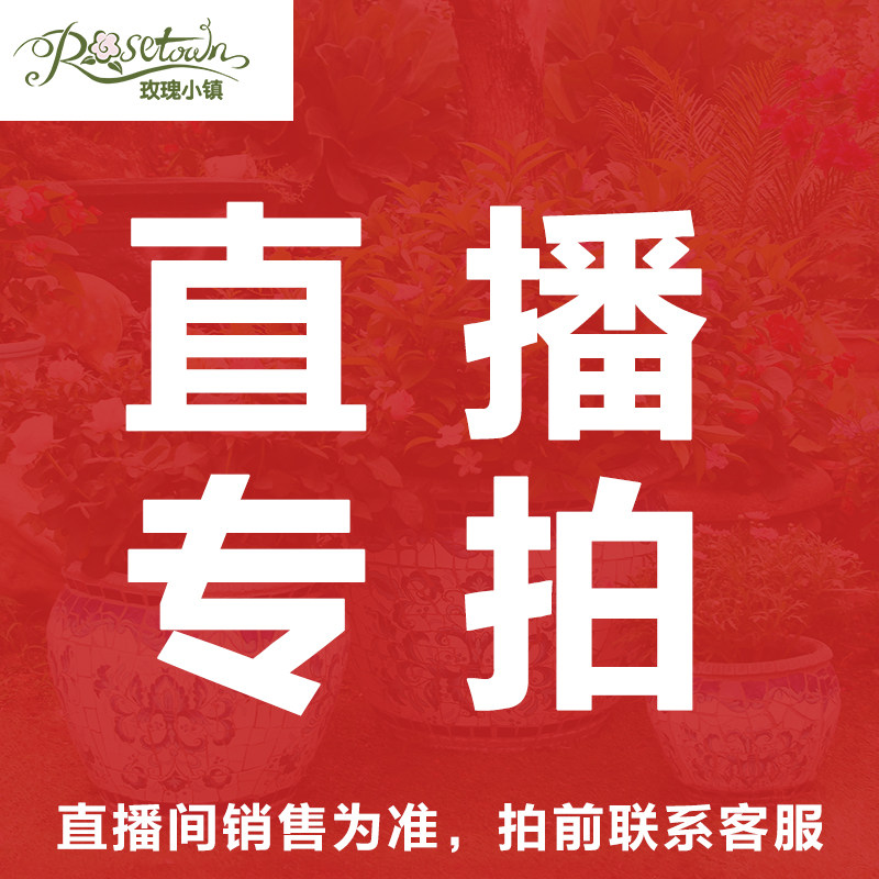 庭院汀步石踏脚石脚踏石踏步石花园墙壁装饰 一物两用