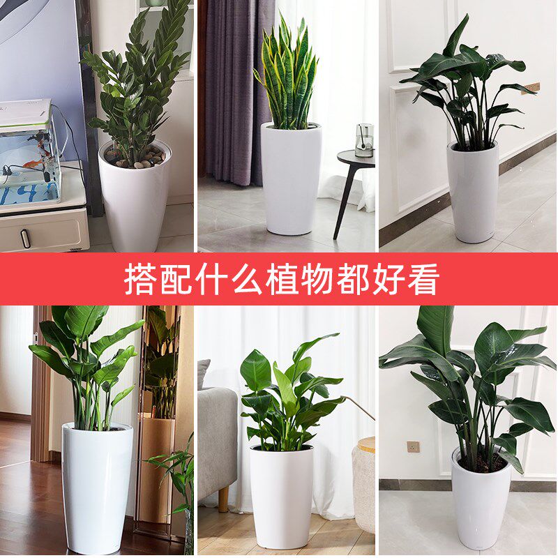 高花盆大号大口径懒人自吸水发财树花盆家用落地高筒圆控根盆景盆