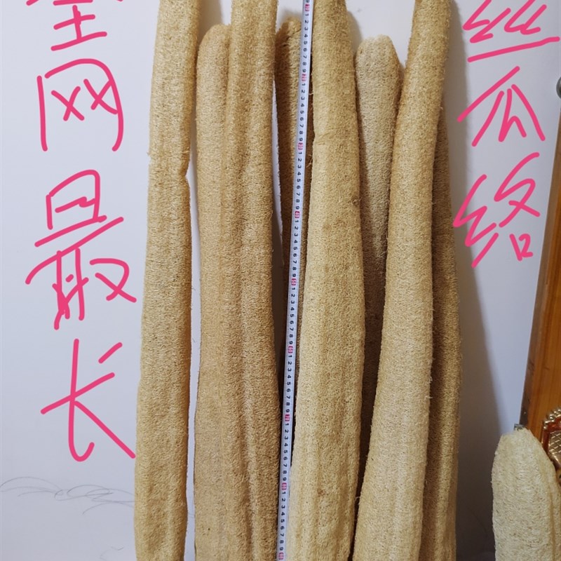 洗澡搓背超长丝瓜络特长丝瓜王装饰品丝瓜络洗澡神器搓背去角质