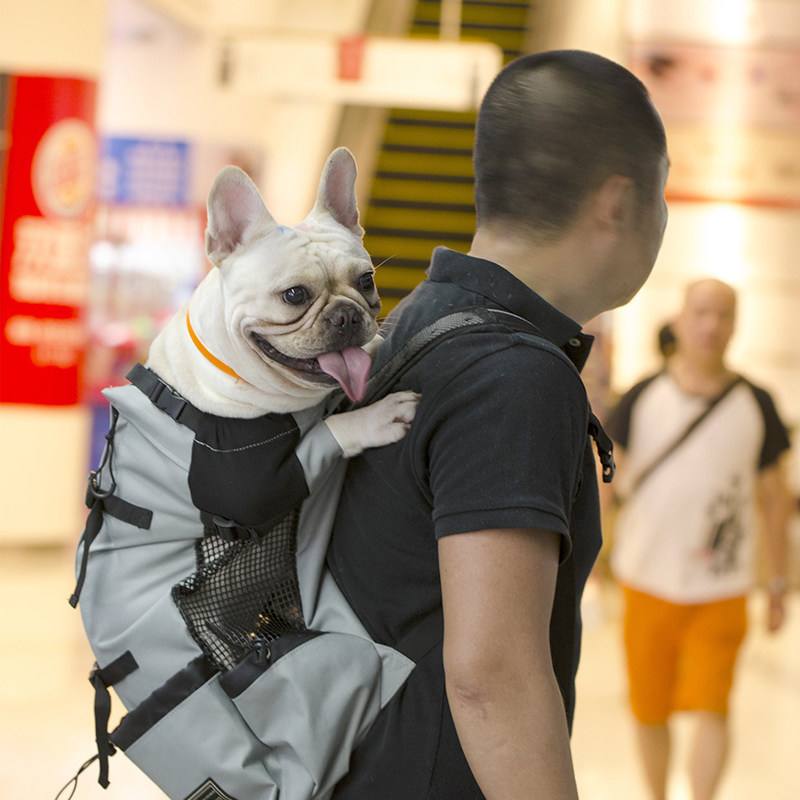 宠物大狗狗背包柴犬柯基金毛法斗大型犬外出包便携胸前大号双肩袋