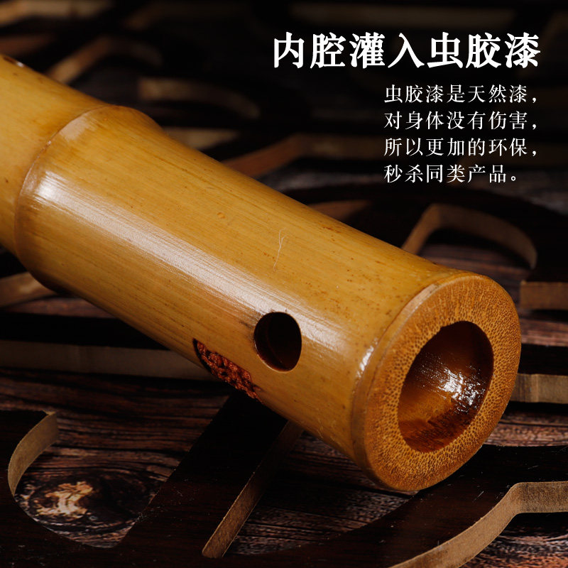专业新款演奏初学入门洞萧乐器成人八孔金毛竹杨县民一节短箫素箫