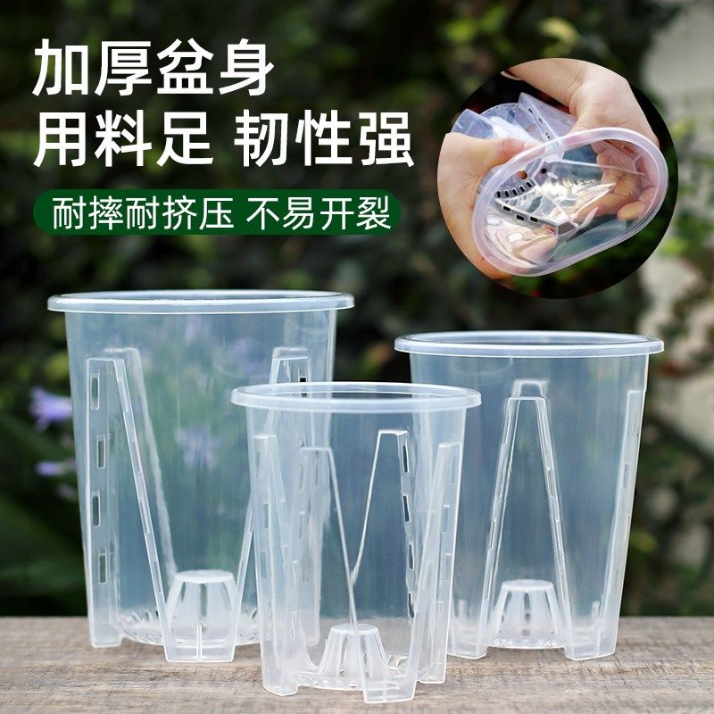 水苔蝴蝶兰专用花盆透明青山控根盆加厚大号透气兰花塑料花盆家用